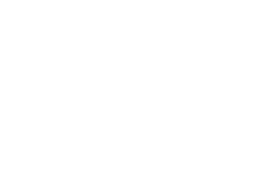 Lascala’s Fire Northeast logo